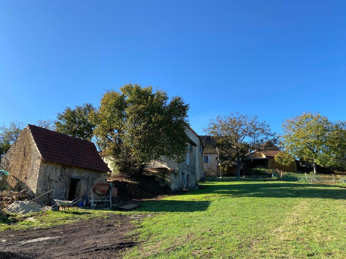 Le Gite De La Villenie - En Pleine Nature - 5 Min Centre Ville De Sarlat Eksteriør billede